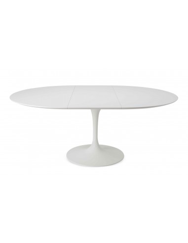 Tavolo estensibile ovale laminato bianco